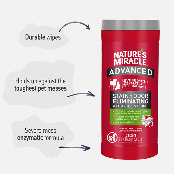 Nature's miracle advanced stain and odor eliminator foam shop